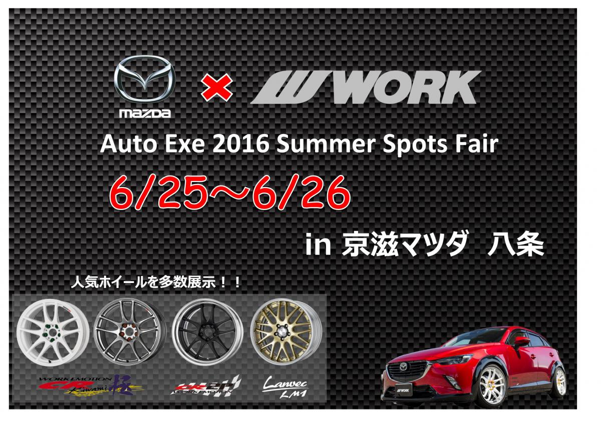 AutoExe 2016 Summer Sports Fair