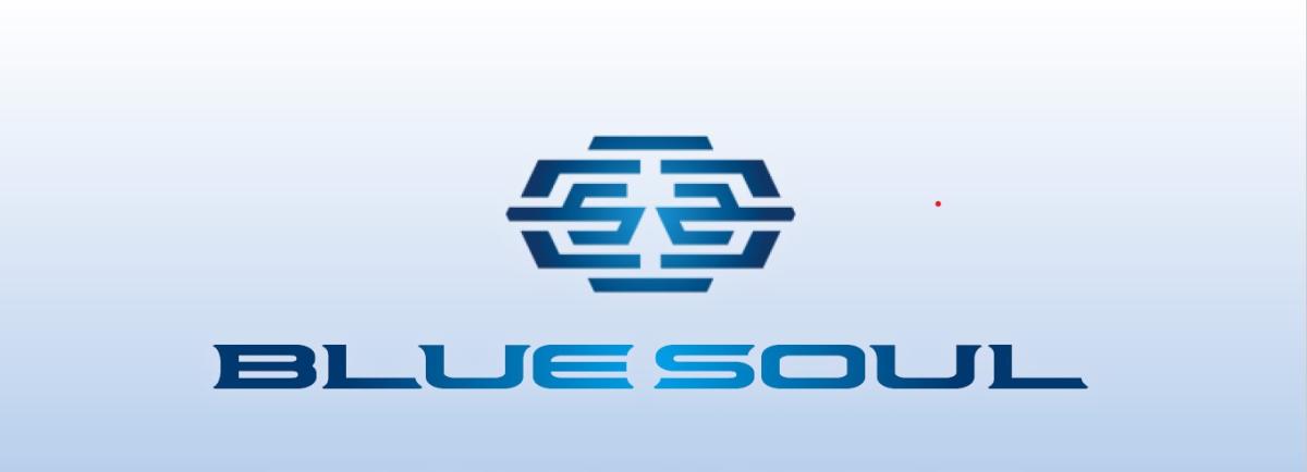 【愛知県蒲郡市】Blue Soul 2025