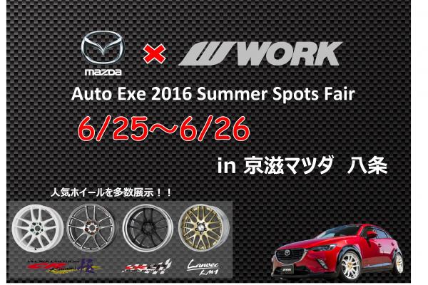 AutoExe 2016 Summer Sports Fair