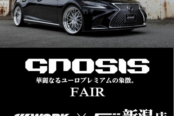 Fuji Niigata store GNOSIS FAIR