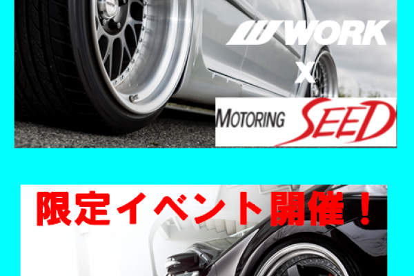 2019 season startup campaign with WORK