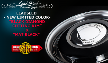 [Limited quantity] Two limited colors are available for LEADS LED【sold out】