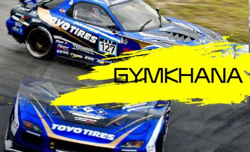 Gymkhana